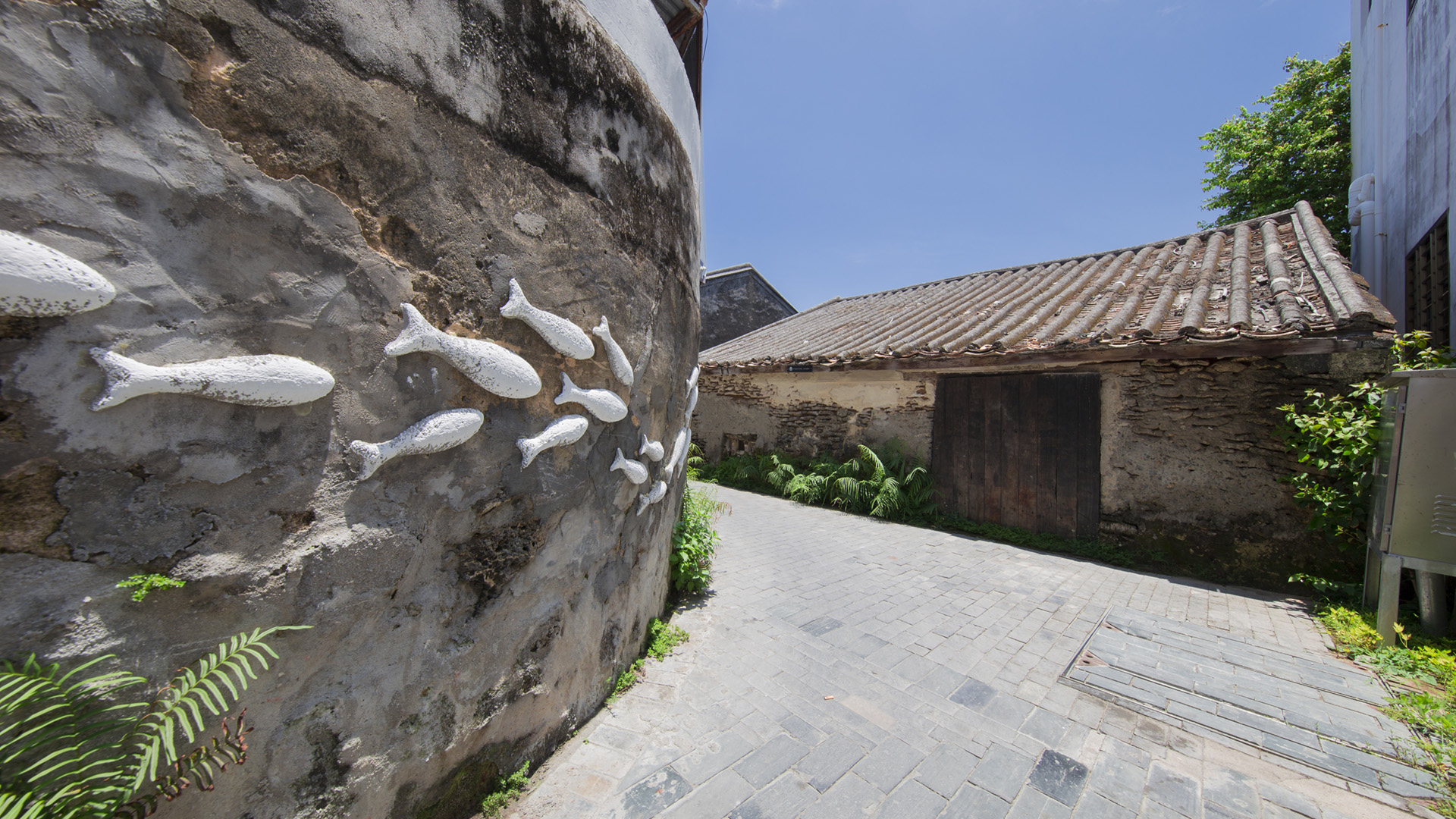 西岛 珊瑚老屋s.jpg